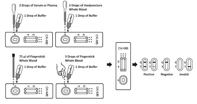 Fast And Reliable Creatine Kinase MB CK - MB Rapid Test Kit For High Sensitivity