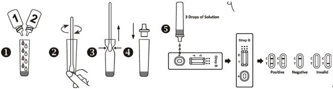 Rapid Strep Test For Qualitative Detection Of Group B Streptococci (GBS) In Urine