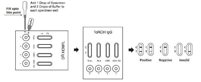 AllTest TORCH IgG Combo Rapid Test Cassette ITOG -445 24 months Shelf Time