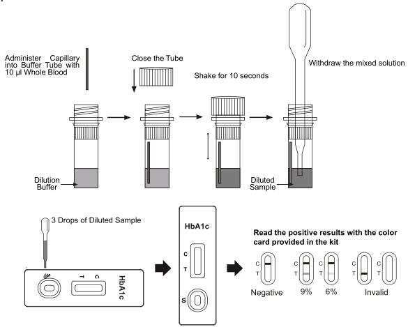 Glycated hemoglobin (HbA 1c) rapid test in whole blood with CE certified
