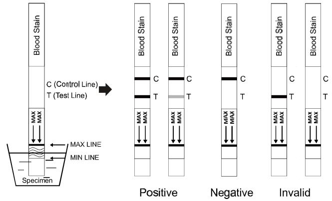 Dipstick Human Blood Rapid Test Cassette , Rapid Antibody Test CE Certified