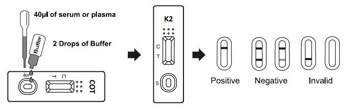 Synthetic Marijuana K2 Rapid Test whole blood /serum /plasma Cassette With High Precise / Accurate
