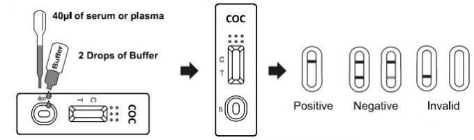 50ng Quick Drug Abuse Test Kit COC Whole Blood /Serum/Plasma Drug Test Cassette