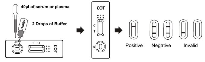 COT Rapid Test Cassette Drug Abuse Test Kit For Nicotine Metabolite FDA 510K In Whole Blood /Serum/Plasma