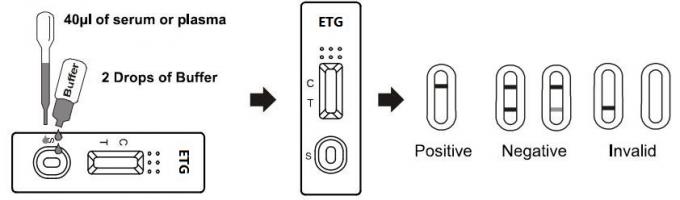 500ng Rapid Test to detection of Alcohol Ethyl Glucuronide in human Whole Blood /Serum/Plasma With CE