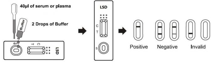 Lysergic Acid Diethylamide Rapid Drug Abuse Test Kit Chromatographic Immunoassay In Whole Blood /Serum/Plasma