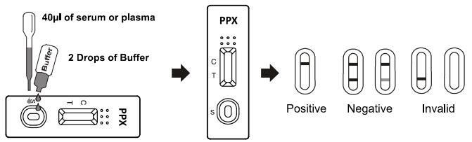 High Sensitivity And Specificity 300ng/ml PPX whole blood /serum /plasma Drug Abuse Test Kit PPX OEM