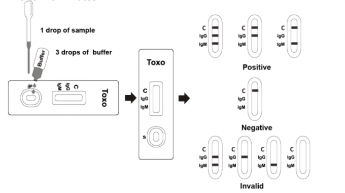 Toxo IgG / IgM Antibody Cassette Rapid Test Kits High Accuracy Rate