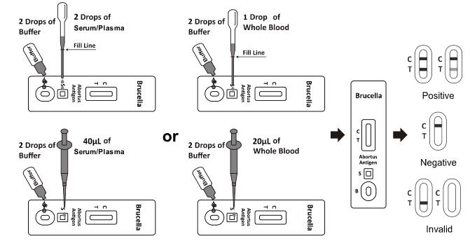 Brucella Abortus Antigen Rapid Diagnostic Test Kits With High Sensitivity