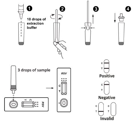 Qualitative Detection Lateral Flow Immunochromatographic Assays Rapid Test For Respiratory Syncytial Virus Antigen