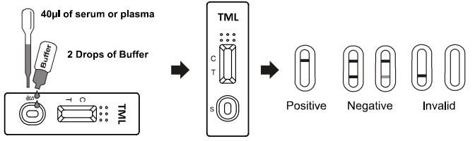 50 ng/ml whole blood /serum /plasma Drug Abuse Test Kit , Tramadol Diagnosis Kits For TML Rapid Test