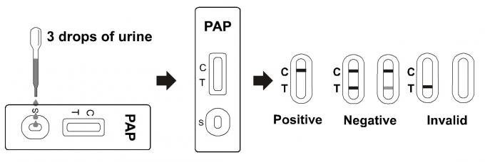 Accurate Urine Drug Abuse Test Kit Diagnosis Papaverine PAP Fast Reading