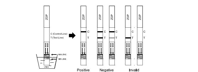 Urine Convenient Zopiclone Drug Abuse Test Kit Cassette/Dipstick/Panel Carefully crafted ZOP Rapid Test With CE