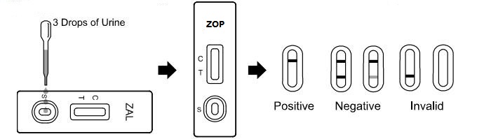 Urine Convenient Zopiclone Drug Abuse Test Kit Cassette/Dipstick/Panel Carefully crafted ZOP Rapid Test With CE