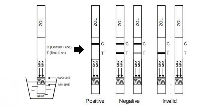 High Qualified Drug Abuse Test Kit ZOL Rapid Test Cassette/Dipstick/Panel in Urine
