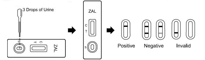 White Color 100 Ng / ML Zaleplon ZAL Diagnostic Drug Of Abuse Test Kit In Urine
