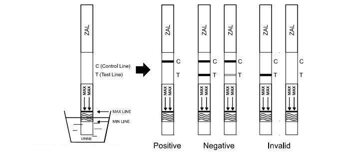 White Color 100 Ng / ML Zaleplon ZAL Diagnostic Drug Of Abuse Test Kit In Urine