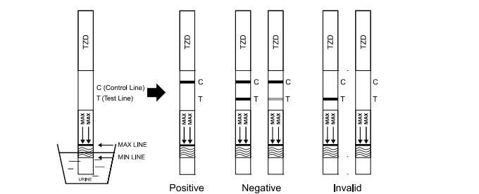 Accurate Trazodone TZD Drug Abuse 200 Ng / ML Rapid Cassette / Dipstick / Panel In Urine