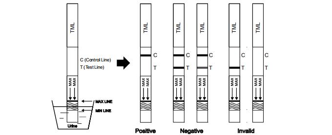 Tramadol TML Drug Abuse Test Kit High Qualified Rapid In Human Urine