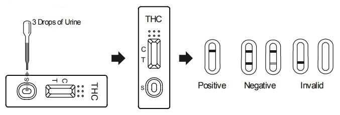 Fast Convenient Marijuana THC THC Urine Single Test Strip / Drug Of Abuse Test Kit