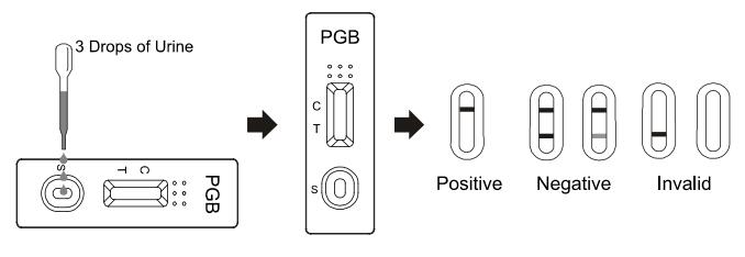 PGB Rapid Test Cassette/ Dipstick/Panel For Pregabalin in human urine Qualitative Detection
