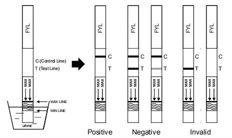 CE Approved Drug Abuse Test Kit , Fentanyl Urine Drug Screen Test Kits