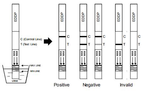 Rapid test for the qualitative detection of Ethylenediamine-dimethylphosphinic acid EDDP in human urine