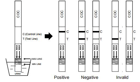 High Quality COC Cocaine Drug Abuse Cassette/Dipstick/Panel Test Kits Urine With CE And FDA
