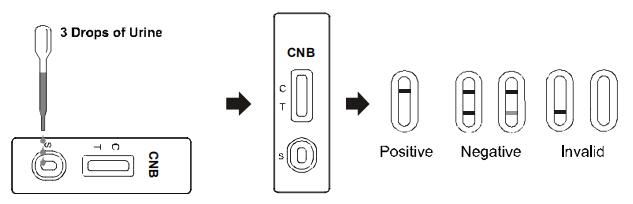 Cannabinol CNB Drug Abuse Test Kit Rapid Test Cassette / Dipstick / Panel In Urine