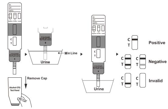 150 ng/ml High Accurate And CE Certified Rapid Diagnostic Test Kits CAT Rapid Test Dipstick/Cassette/Panel in Urine