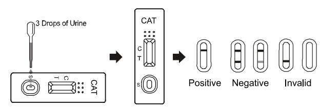 150 ng/ml High Accurate And CE Certified Rapid Diagnostic Test Kits CAT Rapid Test Dipstick/Cassette/Panel in Urine
