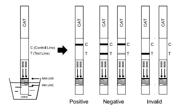 150 ng/ml High Accurate And CE Certified Rapid Diagnostic Test Kits CAT Rapid Test Dipstick/Cassette/Panel in Urine