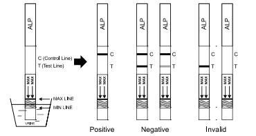 100 Ng / ML Accurate Alprazolam Single Drug Rapid Urine Test Medical Product
