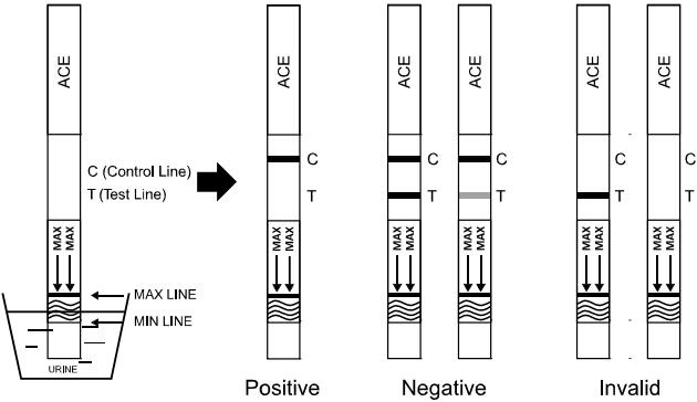 Accurate Acetaminophen (ACE) 5000 ng/mL Cassette/Dipstick/Panel Drug Abuse Test Kits Urine With CE