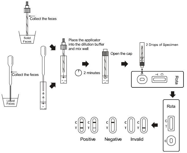 Rotavirus Convenient Infectious Disease Testing Cassette One Step Rapid Test
