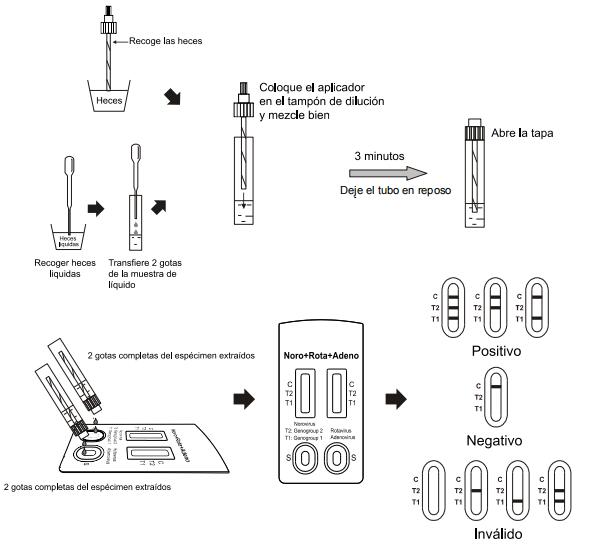 Convenient Norovirus Rotavirus And Adenovirus Diagnostic Tests With CE Pass