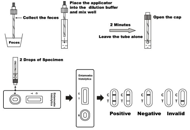 Blue Color Entamoeba Histolytica Rapid Test Cassette With CE Certificate