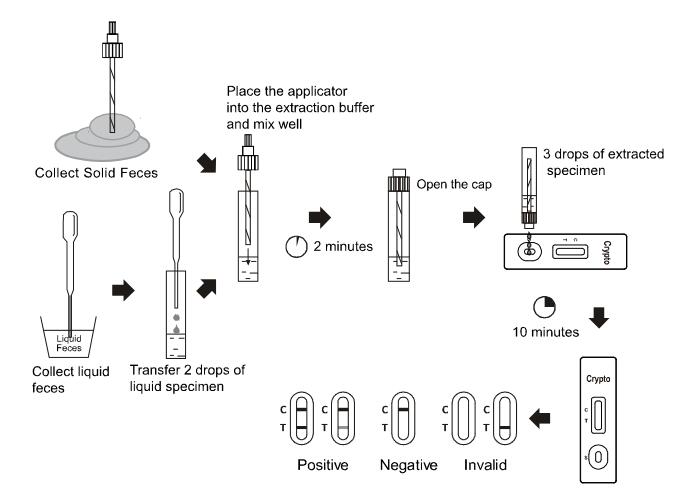 High Sensitivity Cryptosporidium Test Kit Diagnostic Cassette Lateral Flow Test Strips