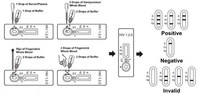 HIV 1.2.O Rapid Test Kit / Cassette One Step in Blood /Serum