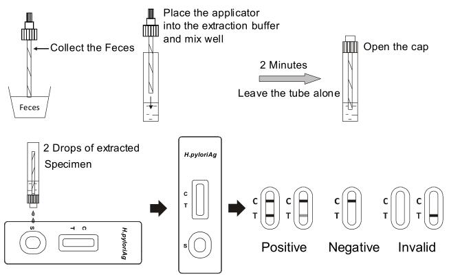 Feces H. pylori Antigen Rapid Test Kits Colored Line for Hospital