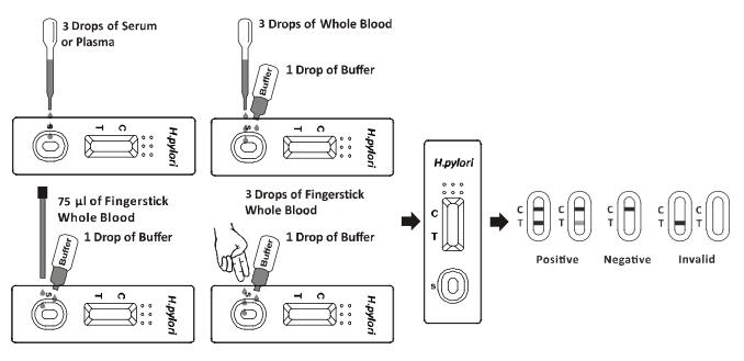 H. pylori Antibody Rapid Test Cassette (Whole Blood /Serum/Plasma) With CE