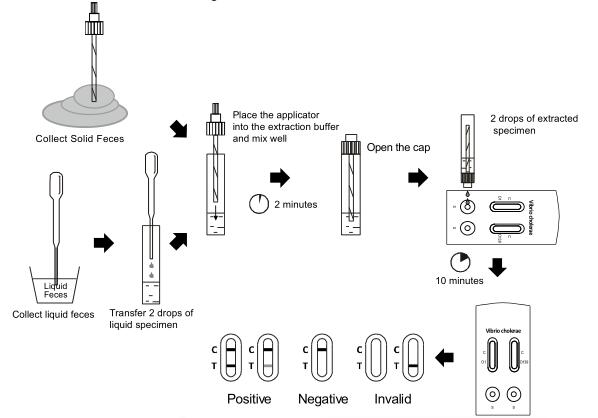 Vibrio cholerae O1/O139 Combo Rapid Test Cassette (Feces) With CE