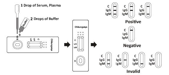 Chikungunya IgG/IgM Rapid Test Cassette (Serum/Plasma)