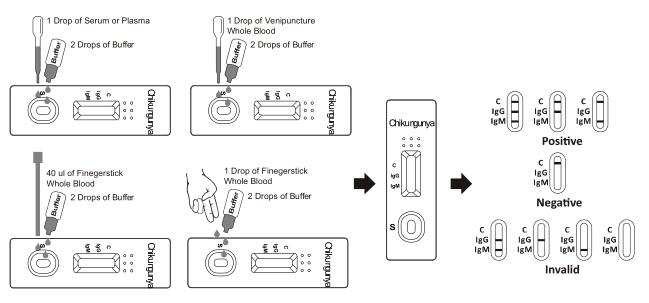 Chikungunya IgG/IgM Rapid Test Cassette (Whole Blood/Serum/Plasma)