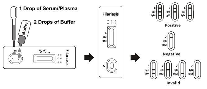 Filariasis IgG/IgM Rapid Test Cassette (Serum/Plasma)