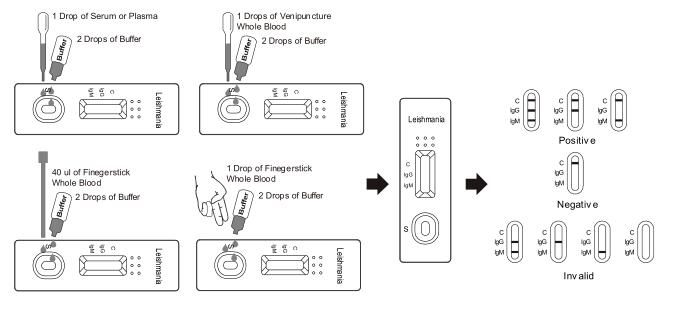 Leishmania IgG/IgM Rapid Test Cassette (Whole Blood/Serum/Plasma)