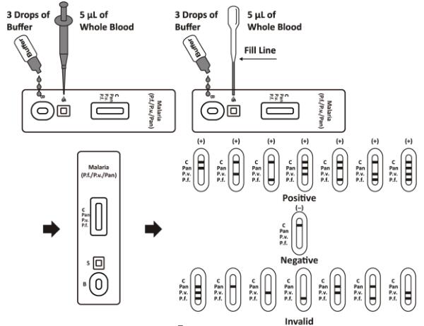 Malaria P.f./P.v./Pan Rapid Test Cassette (Whole Blood)