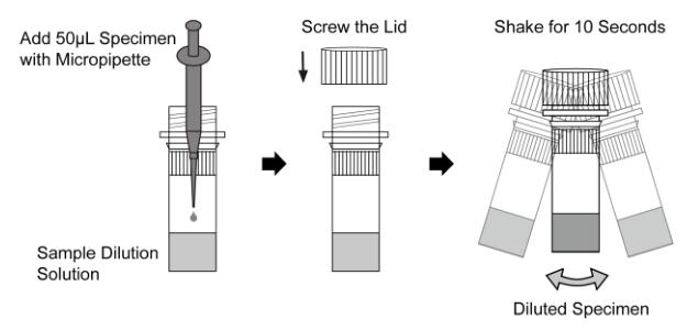 AccurateHAV IgG/IgM Combo Rapid Test Cassette (Serum/Plasma) One Step with High Specificity