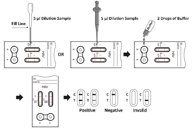 AccurateHAV IgG/IgM Combo Rapid Test Cassette (Serum/Plasma) One Step with High Specificity