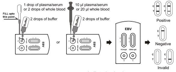 EBV VCA and EBNA IgG Combo Rapid Test Cassette (Whole Blood/Serum/Plasma)